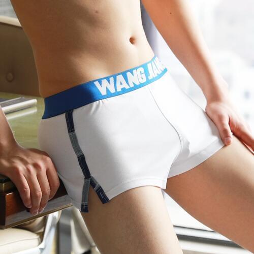 Brand underwear men cuecas boxer shorts men Cotton boxers mens fashion sexy Household pants popular calzoncillos size XXL