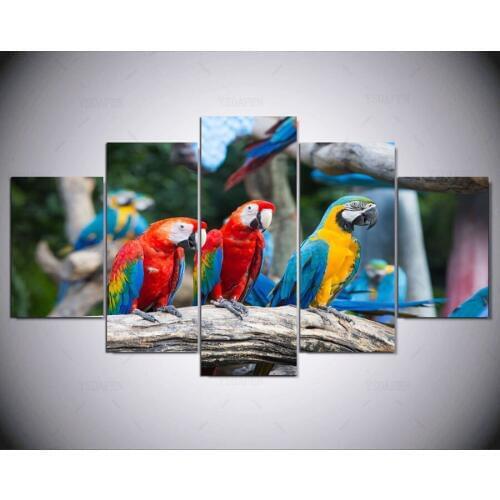 5 Panels wall pictures Macaw photo print on canvas wall art Animal colorful bird picture painting for home decoration IM-113