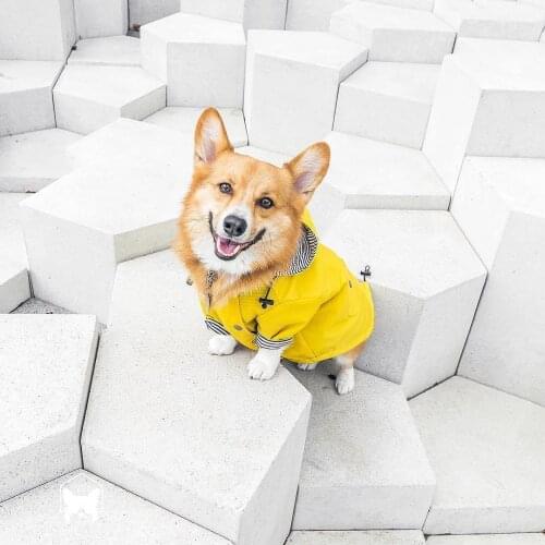 Pet Dog Clothes for large Dog Windproof Jacket coat Rainproof Dog Raincoat Outdoor Jacket Dog Sport Hoodies Jackets