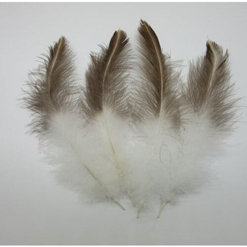 Sale 50pcs/lot Beautiful Eagle Feathers 8-10 Inch / 20-25CM Accessories Dancers Craft Party Wedding Jewelry Plumes Plumas