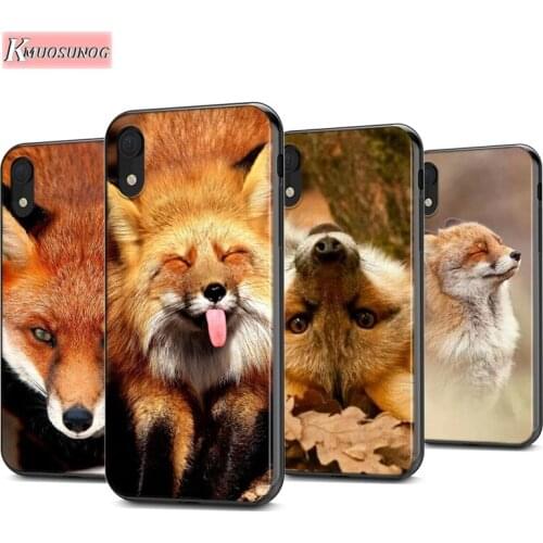 Lovely Animal Fox Silicone Cover For Apple IPhone 12 Mini 11 Pro XS MAX XR X 8 7 6S 6 Plus 5S SE Phone Case