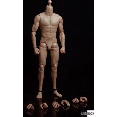 1/6 Scale Asian Male Body Figure for Muscular Model Similar to HT DX04 With Extra Hands