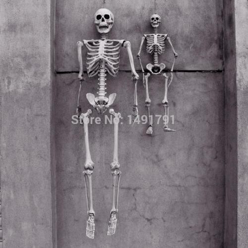 165cm Terror Halloween props haunted house Room Escape artificial human skeletons model frame tomb-raiding Adult skull bones