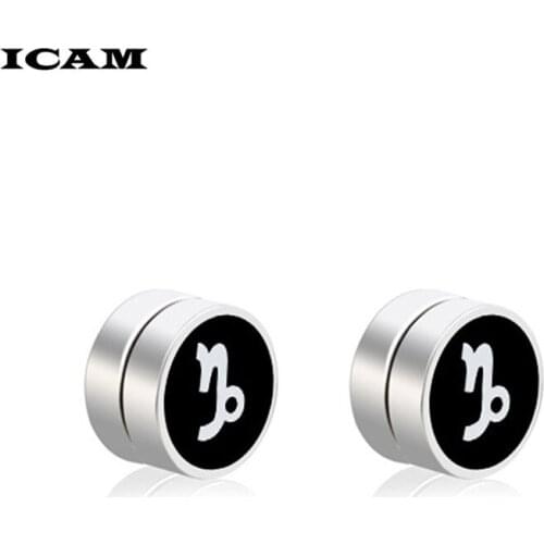 ICAM 1Pair Punk Women Men Strong Magnet Magnetic Ear Stud Non Piercing Earrings Fake Earrings Gift for Boyfriend Lover Jewelry