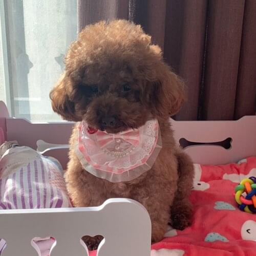 1PC Adjustable Handmade Lace With Pearl Bows Pet Bibs Collar For Cats Puppies Dogs Plaid Washable Puppy Bows Scarf Tie Necklace