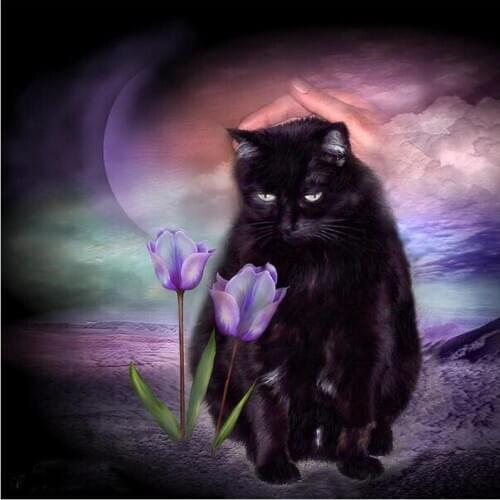 Black cat and flowers Mosaic diamond embroidery animal 3d picture diamond cross stitch diy diamond painting square&Round drill