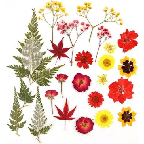 JF055 Hot Sell DIY Dried Flower Jewelry Accessories Fillers Home Decoration Handmade Material A Must Of Craftmen