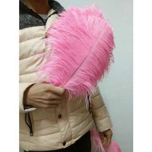 Wholesale 50 pc high quality pink ostrich feather 12-14inches / 30-35CM diy decorative vases / Accessories / Apparel