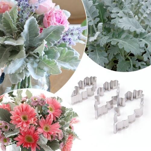 Silver Leaf Chrysanthemum Leaf 3Pcs Stainless Stell Cookie Cutter Pastry & Biscuit Baking Cutter Cake Decorating Tools