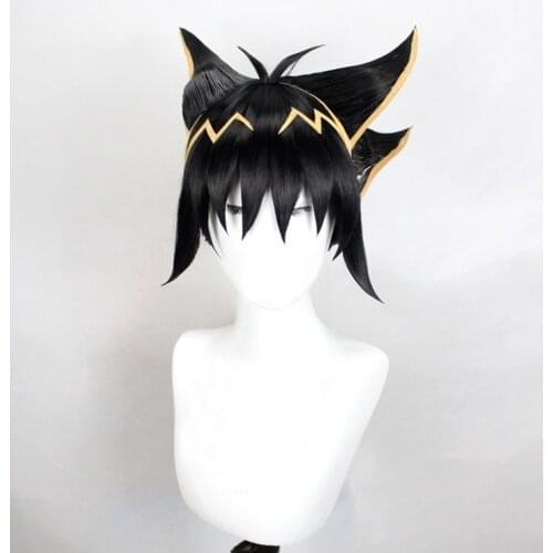 Yu-Gi-Oh! 5Ds Yusei Fudo Cosplay Wig