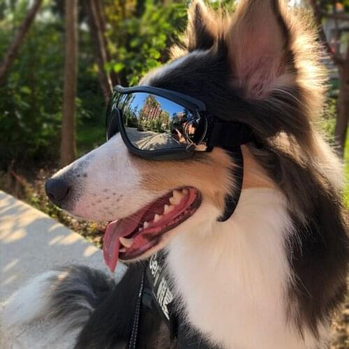 Windproof Cool Dog Sunglasses UV Protection Goggles Pet Eye Wear Medium Large Dog Swimming Skating Glasses Accessaries