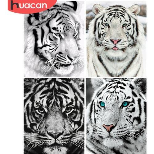 HUACAN Tiger Painting By Numbers Drawing On Canvas HandPainted Art Gift DIY Animal Picture By Number Kits Home Decoration