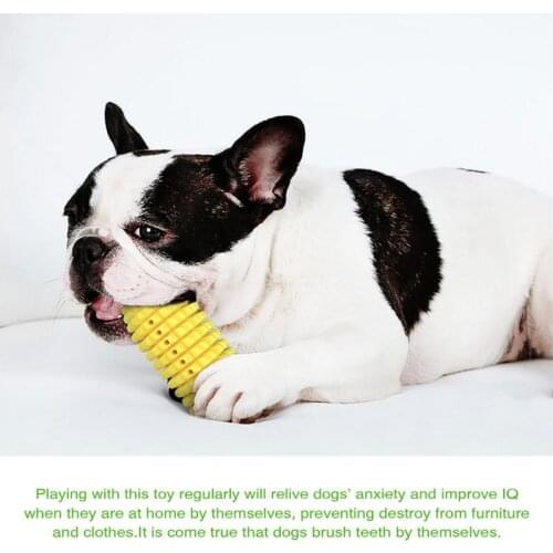 1PCS Pet Cat Dog Toys Biting Corn Molar Stick Resistant Toothbrush With Rope Playing Chasing Chewing Pet Products Accessories