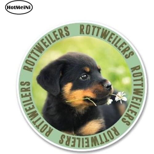 HotMeiNi 13cm x 13cm Funny Rottweiler Puppy Dog Sticker for Helmet Bumper Caravan Laptop Book Car Styling Decal Car Sticker
