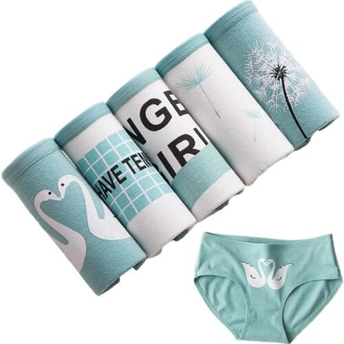 5 Pcs Panties Womens Underwear Cotton Briefs Seamless Calcinhas Print Underpants Girls Panty Comfortable Sexy Lingeries Shorts