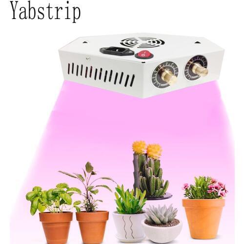 1000W LED Grow Light dimmable COB full spectrum double chip fitolampy for indoor For indoor Vegetable Flower seedling phyto lamp