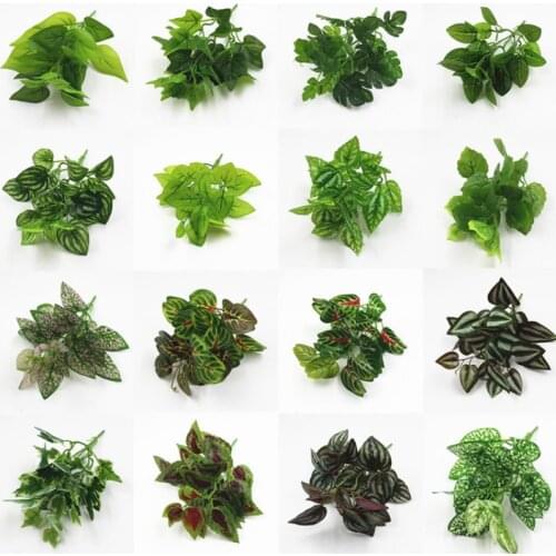 European Home garden plant Plastic large leaf plant evergreen watermelon turtle leaf plant for home decoration