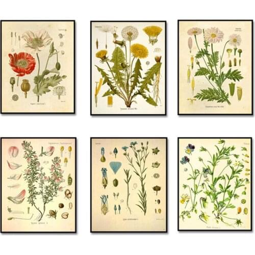 Vintage Wild Plant Poster Botanical Flower Study Living Room Hanging Painting Peony Picture Aesthetic Room Decor Canvas Paintng