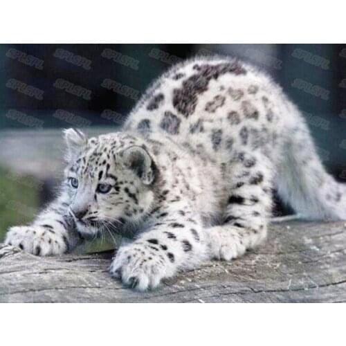 Diy Diamond Painting Wild Protected Animals Snowy Leopard Fox Lion Elephant Rhino Beautiful Landscape Hanging Painting Poster