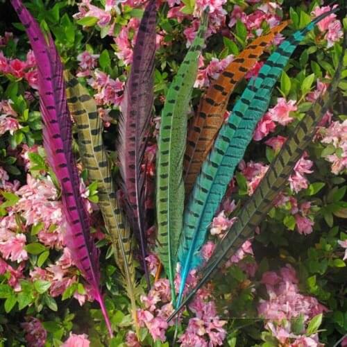Free shipping 100pcs/lot long 30-35cm natural DIY pheasant tail feather feathers Hair extension centerpieces wedding