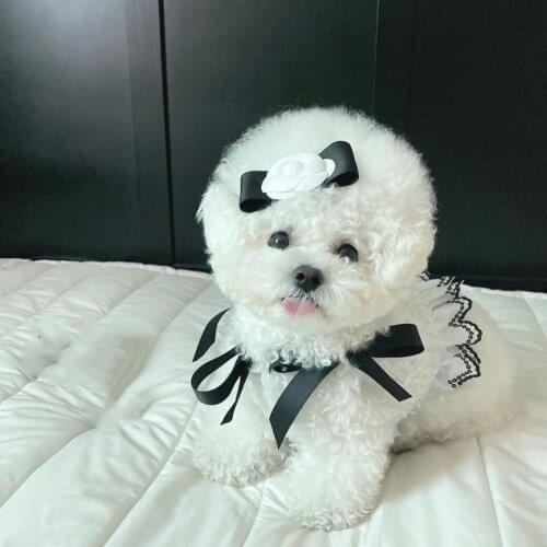 Princess Style Pet Dog Puppy Slip Dress With Hair Pin Clothes For Small Medium Dogs French Bulldog Pug Clothing TPC28