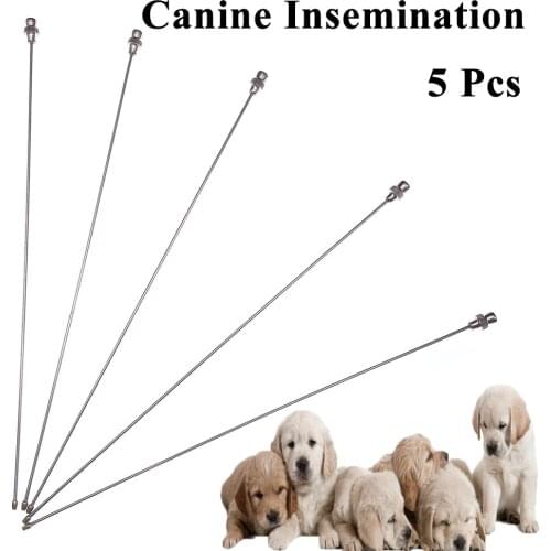 5PCS Dog Canine Artificial Insemination Needle Pin Semen Injection Fresh Sperm Stainless Steel Pet Sheep Goat Veterinary Clinic