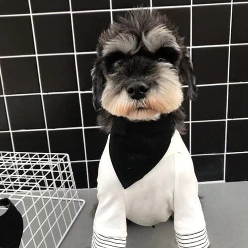 Fashion Dog Bandana Adjustable Pet Neck Scarf Necktie Neckerchief Collar Grooming Accessories For Small Medium Dogs YLL05