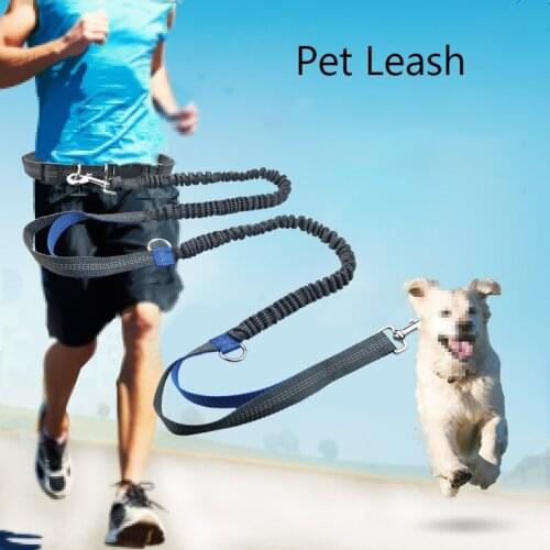 Portable Pet Leash Running Reflective Hands Free Dog Leash Double Retractable Dog Leash Dog Chain Pet Supplies