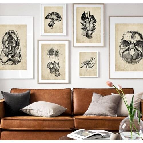 Anatomy Skeleton Vintage Poster Wall Art Print Canvas Painting Nordic Posters And Prints Wall Pictures For Doctor Office Decor