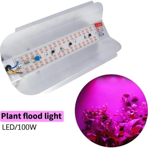 GOOYZ LED Plant Lamps