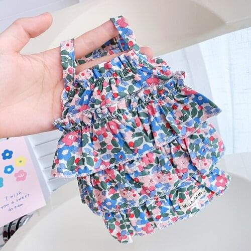 Pet Cake Dress Dog Summer Thin Sheenary Teddy Small Dog Than Bear Cat Clothes Spring Costume Poodle Bichon Schnauzer Dog Clothes