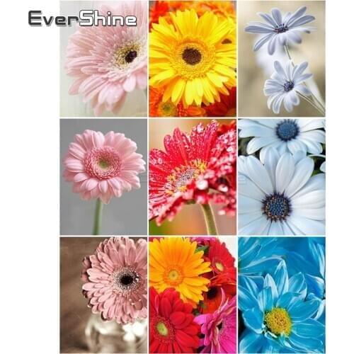 EverShine DIY Oil Paint By Numbers Flowers Hand Painted Coloring Of Numbers Home Decor Canvas Wall Set Diamond Art