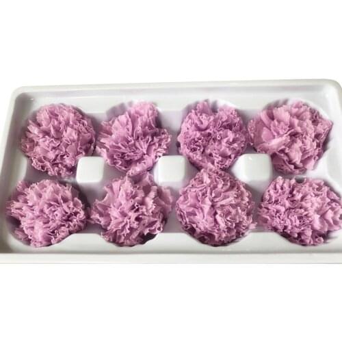 8Pcs Preserved Flower Head Carnation Decorative Dried Flower Mothers Day Gift Box Flower for Mother Artificial Decorations