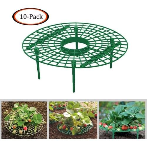 Off Ground Strawberry Support Stand Rot Proof Leaking Mini Round Table for Adequate Air Strawberry Vine Stem Leaf Grow Holder