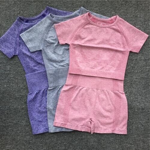 2020 Womens Fitness Sport Suit Squat Proof Short Sleeve Top Shorts Seamless Yoga Sets Sportswear Gym Clothings Tracksuit Female