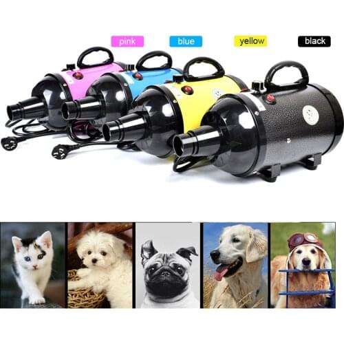 2600W Power Hair Dryer For Dogs Pet Dog Cat Grooming Blower Warm Wind Secador Fast Blow-dryer For Small Medium Large Dog Dryer
