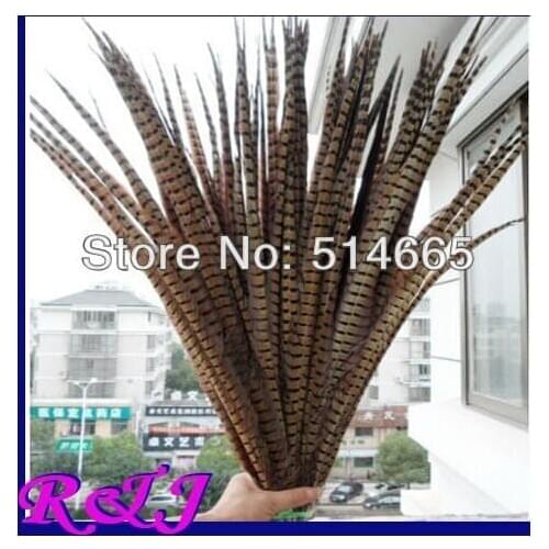 EMS Free Shipping 100pcs/lot ringneck pheasant Feather pheasant tail feather 22-24inch 55-60cm