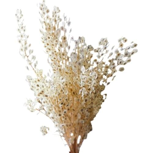 Natural Immortal Dried Flower Home Decorative Retro Artificial Flower Bouquet DIY Flower Arrangement Home Hotel Ornament