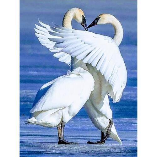 Full drill diamond painting swan bird embroidery mosaic art rhinestone diamond dots picture puzzle toy needlework craft gift