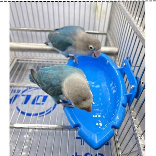 Adeeing Bird Baths
