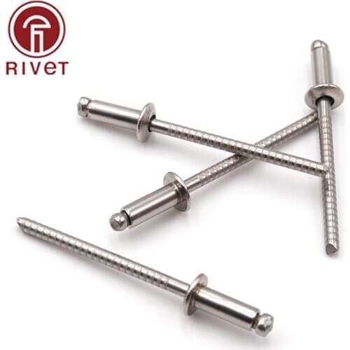 Mushroon Head Break Mandrel Blind Rivets 304 Stainless Steel M4.8x20/M4.8x22/M4.8x25/M4.8x30/M4.8x35mm Open Round Head Rivet