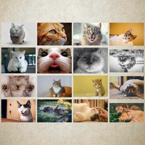 Diy Diamond Painting Animal Cat Cute Nordic Style Full Diamond Handmade Dot Inlaid Diamond Bedroom Living Room Sticker Wall