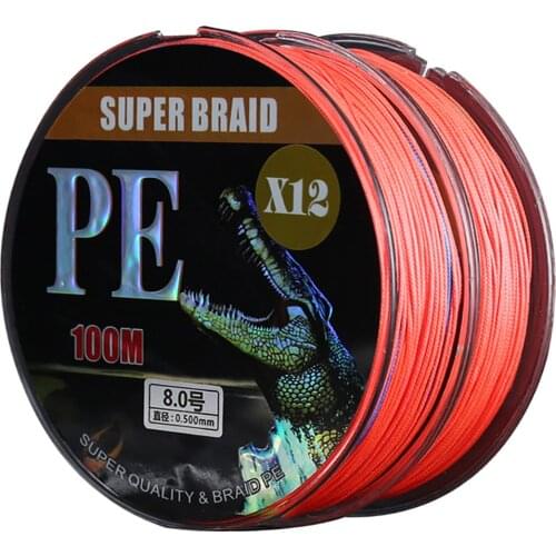RIVERSOIDE 12 Strands 100M PE Line Super Strong Nylon Fishing Line Carp Fishing Accessories