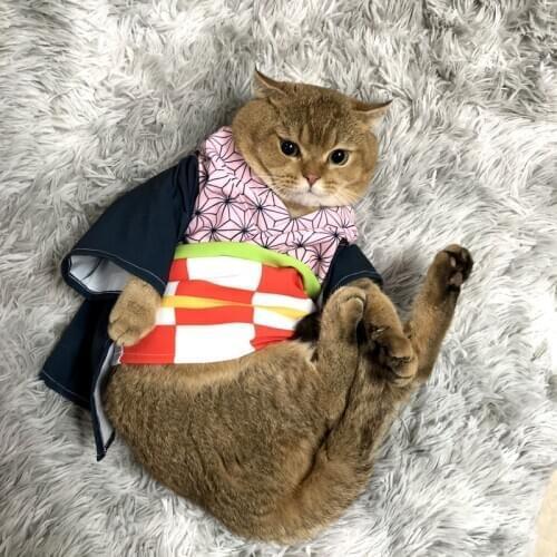 Kamado Tanjirou Kamado Nezuko Agatsuma Zenitsu Cat Cape