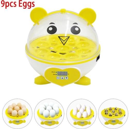 Лампы и термометры для рептилий Dreamburgh China At AliExpress