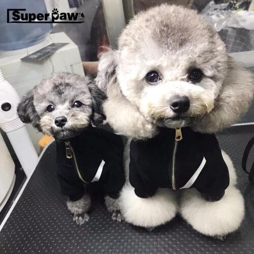 Schnauzer Fashion Dog Cat Jacket Pet Winter Warm Coat Small Medium Dogs Schnauzer French Bulldog Pug Hoodie Dropshipping ZJC17