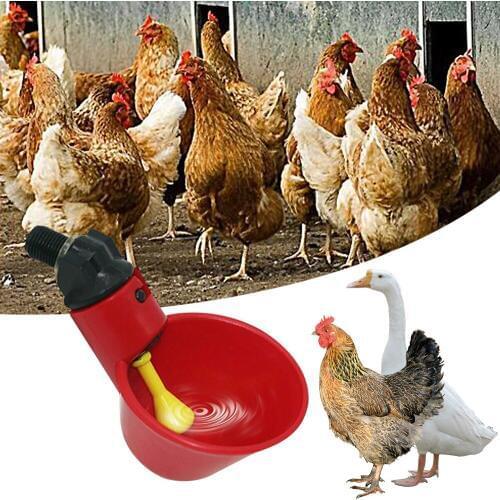 Automatic Cups Water Feeder Drinker Chicken Waterer Poultry Chook Bird Coop Poultry Fowl Water Drinking Cup Bowl 3