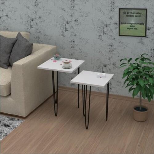 Modern Larose Zigon Coffee table Destini 2'li coffe table