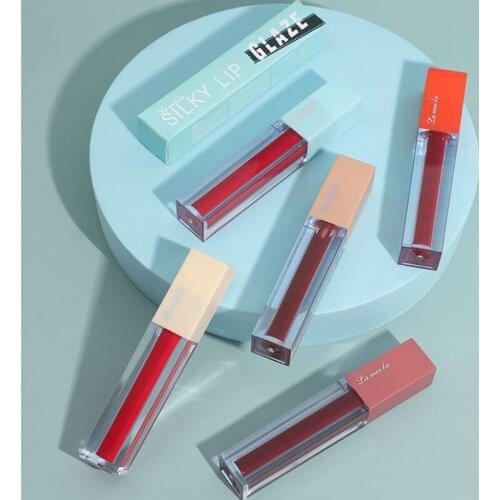 1 Bottle Velvet Matte Lip Gloss Waterproof Natural Moisturizing Easy To Wear Long Lasting Hydrating Makeup Lip Gloss 5 Color