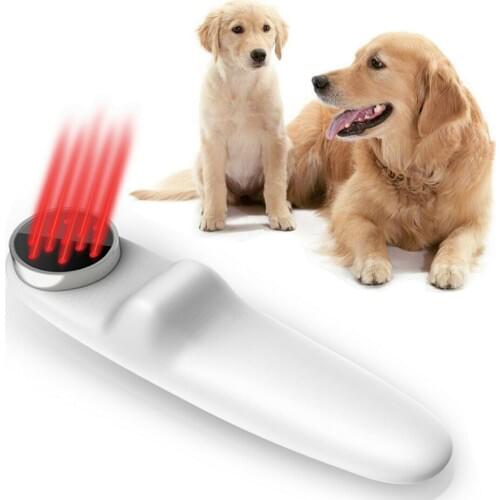 LASTEK Dog and Horse Cat Animals Pain Relief LLLT Therapy Device with 808nm Safety Cold Laser Medical Instrument